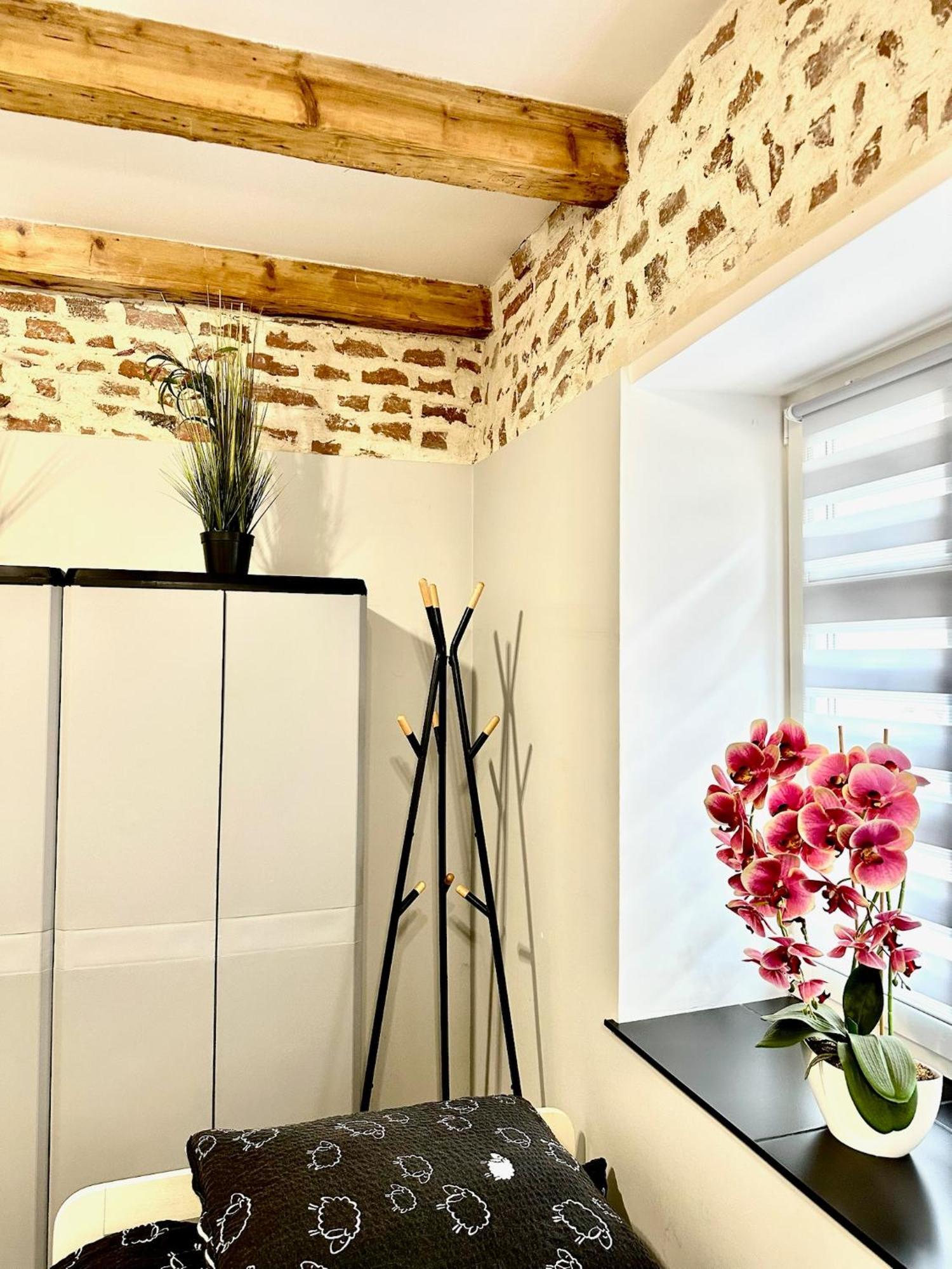Marianowka Appartement Legnica Buitenkant foto